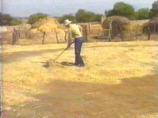 CAMPO (85)  LABRANZA